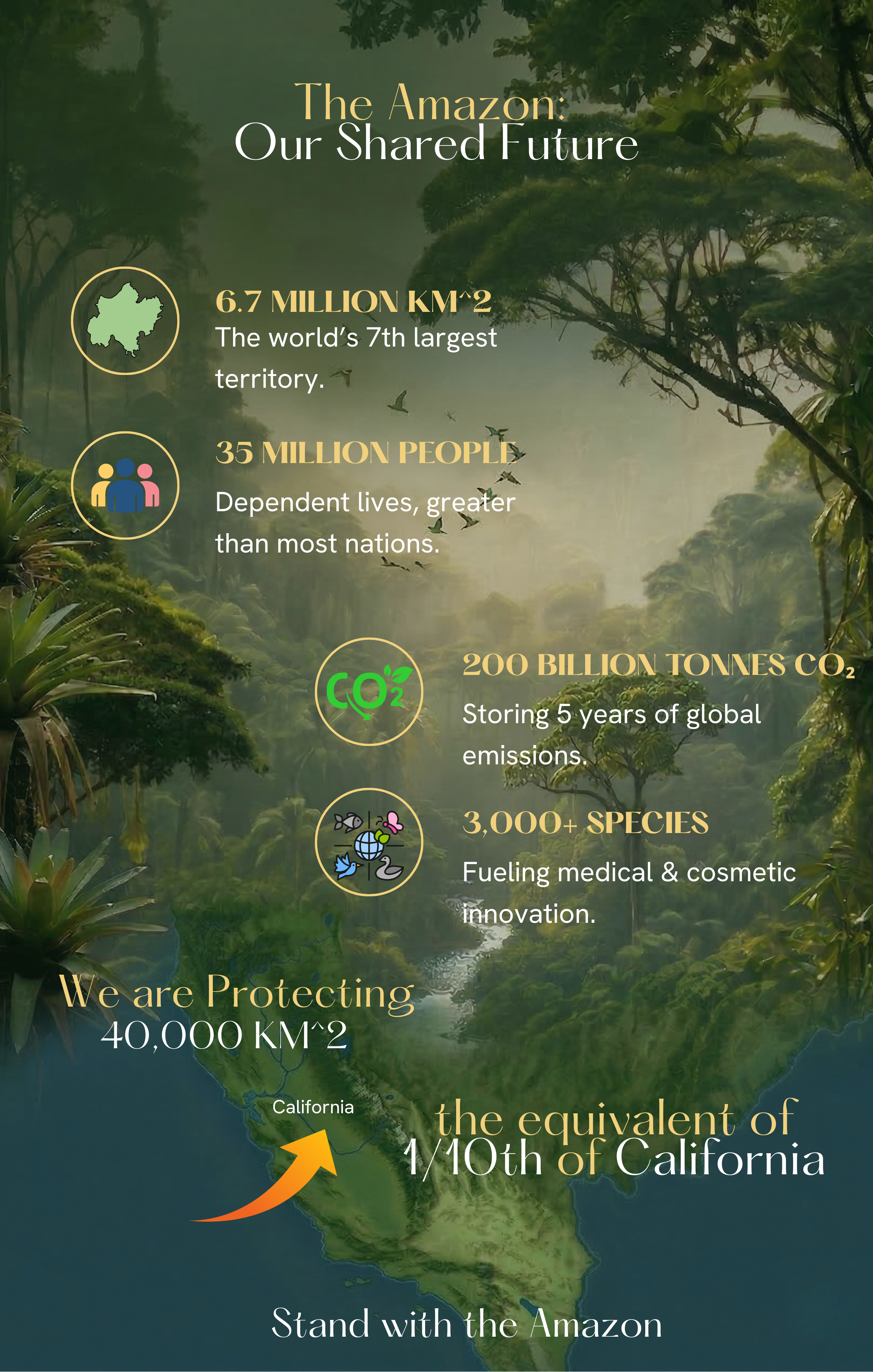 Infographic showing the impact of backing the campaign